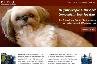 Website & UI Design