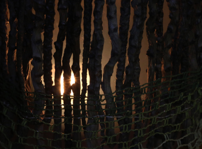 Photo of light in a cage